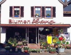 Blumen Lang Darmstadt-Eberstadt