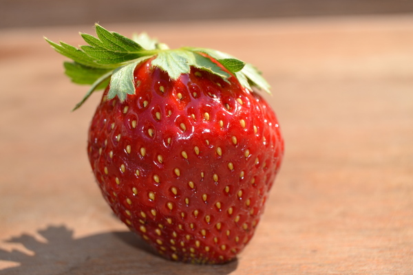 Ewwerschter Marmeladenmanufaktur bei Blumen Lang Darmstadt