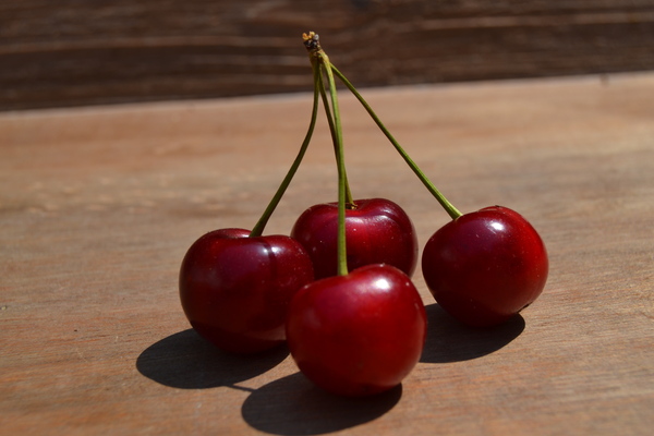 Ewwerschter Marmeladenmanufaktur bei Blumen Lang Darmstadt