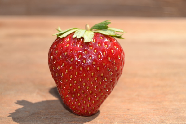 Obst und Gemüse aus regionalem Anbau bei Blumen Lang in Darmstadt Eberstadt