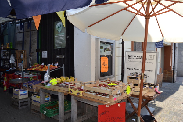 Obst und Gemüse aus regionalem Anbau bei Blumen Lang in Darmstadt Eberstadt