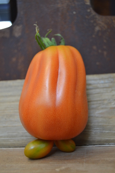 Obst und Gemüse aus regionalem Anbau bei Blumen Lang in Darmstadt Eberstadt