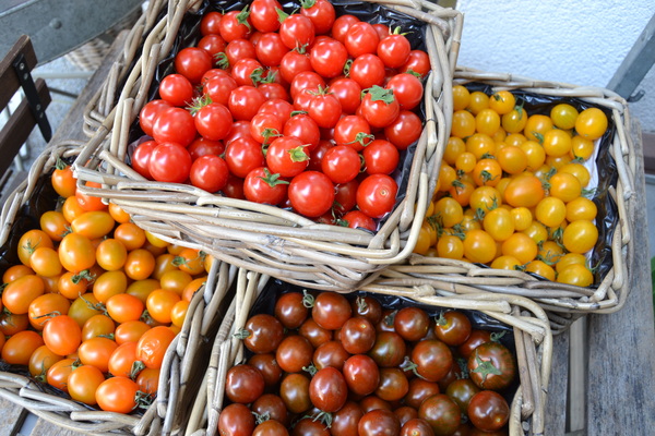 Obst und Gemüse aus regionalem Anbau bei Blumen Lang in Darmstadt Eberstadt